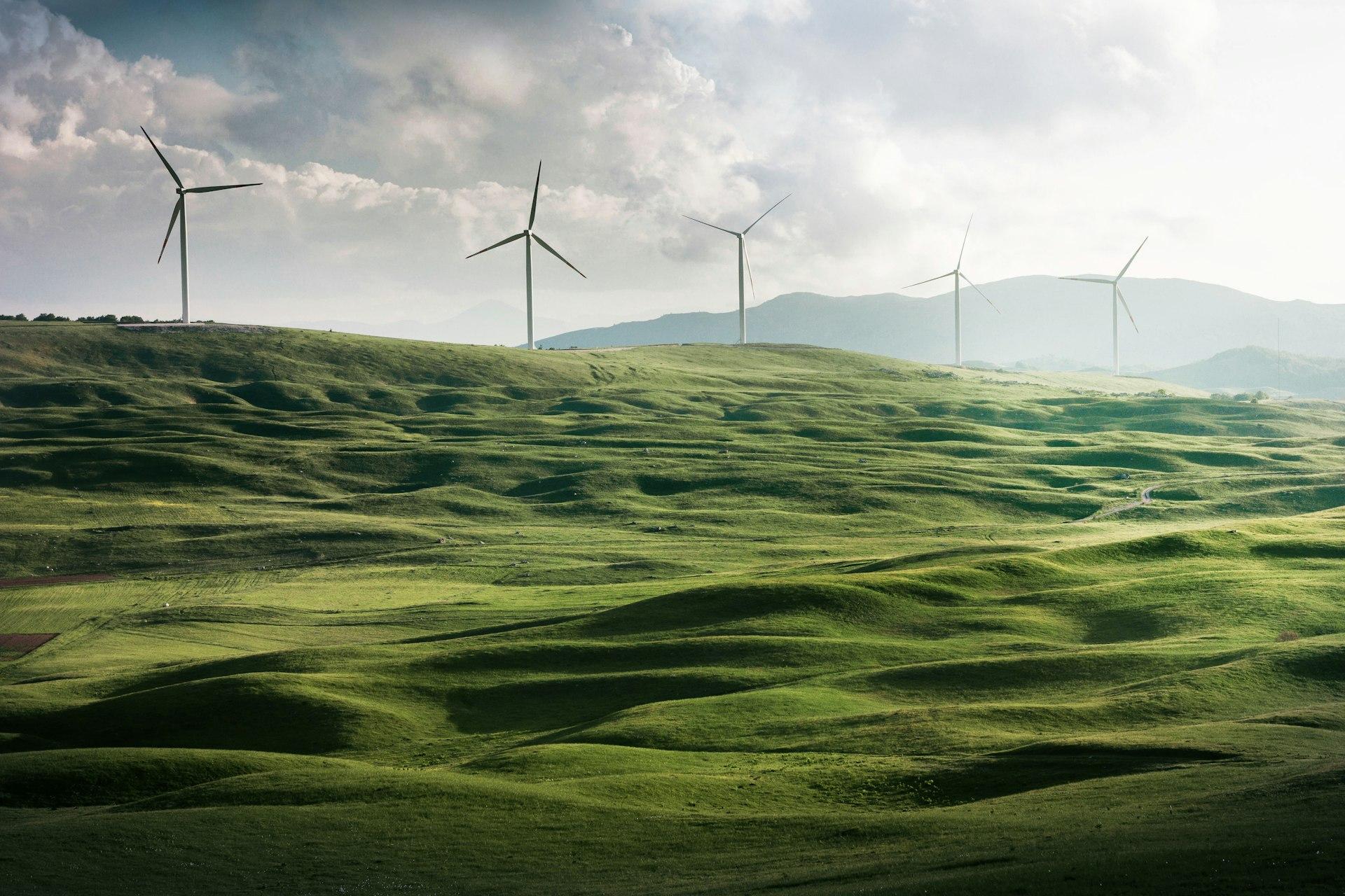 Energy, agriculture and real estate — three core sectors of HEEAF Investment Limited