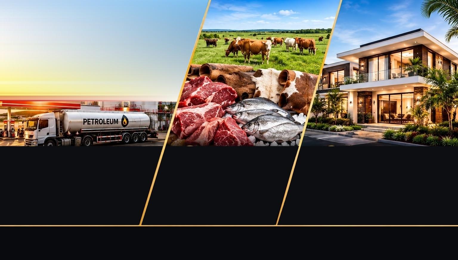 HEEAF Investment Limited - Powering Growth Across Key Sectors