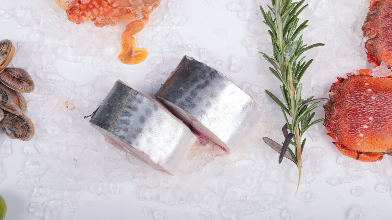 Fresh fish and cuts of meat displayed on ice in a clean cold-storage facility